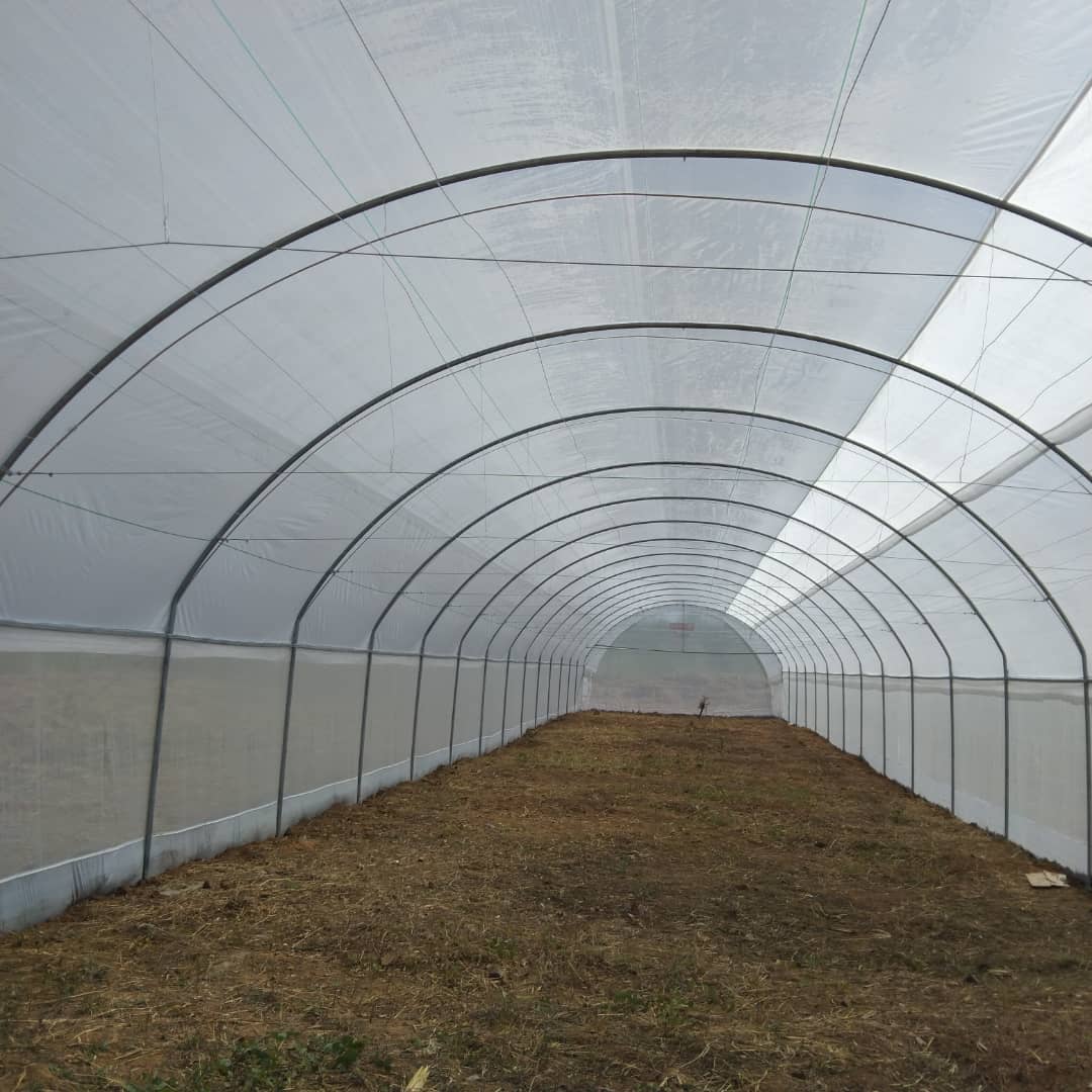 Landscaping Makeover